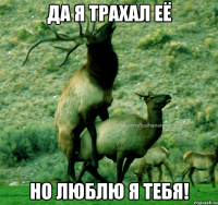 да я трахал её но люблю я тебя!