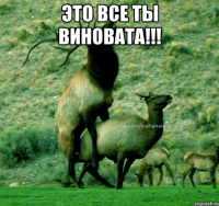 это все ты виновата!!! 