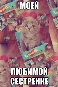 моей любимой сестренке