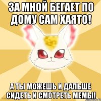 за мной бегает по дому сам хаято! а ты можешь и дальше сидеть и смотреть мемы!