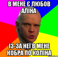 В мене є любов аліна ІЗ-ЗА НЕЇ В МЕНЕ КОБРА ПО КОЛІНА