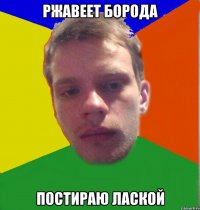 Ржавеет борода постираю лаской