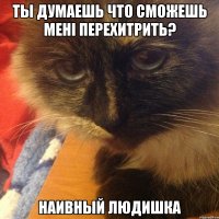 ты думаешь что сможешь мені перехитрить? наивный людишка