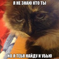 я не знаю кто ты но я тебя найду и убью