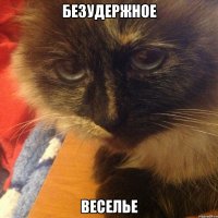 безудержное веселье