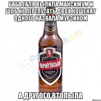 Баба Галя выпила Максимум и шоб не перепутать двох кошенят одного назвала Мурзиком а другого втопыла