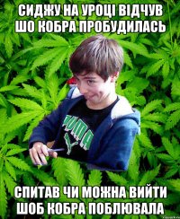 сиджу на уроці відчув шо кобра пробудилась спитав чи можна вийти шоб кобра поблювала