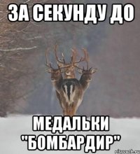 за секунду до медальки "бомбардир"