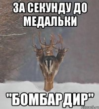 за секунду до медальки "бомбардир"