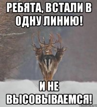 ребята, встали в одну линию! и не высовываемся!