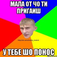 Мала от чо ти пригаиш У тебе шо понос