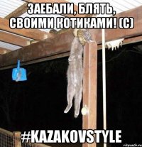 заебали, блять, своими котиками! (c) #kazakovstyle