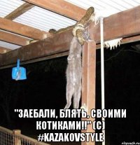  "заебали, блять, своими котиками!!" (с) #kazakovstyle