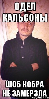 одел кальсоны шоб кобра не замерзла
