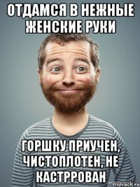 ОТДАМСЯ В НЕЖНЫЕ ЖЕНСКИЕ РУКИ ГОРШКУ ПРИУЧЕН, ЧИСТОПЛОТЕН, НЕ КАСТРРОВАН