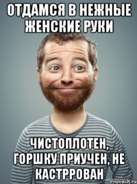 ОТДАМСЯ В НЕЖНЫЕ ЖЕНСКИЕ РУКИ ЧИСТОПЛОТЕН, ГОРШКУ ПРИУЧЕН, НЕ КАСТРРОВАН