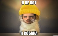 Я не кот Я Собака