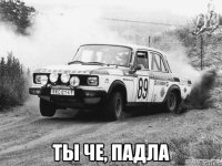  ты че, падла