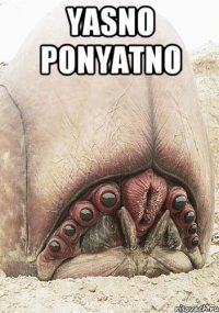 YASNO PONYATNO 