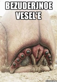 BEZUDERJNOE VESEL'E 