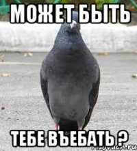 может быть тебе въебать ?