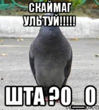 СКАЙМАГ УЛЬТУЙ!!!!! ШТА ?0_0