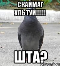 СКАЙМАГ УЛЬТУЙ!!!!! ШТА?