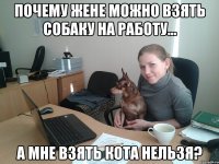 Почему жене можно взять собаку на работу... А мне взять кота нельзя?