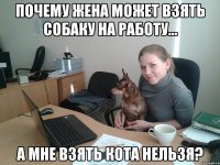 Почему жена может взять собаку на работу... А мне взять кота нельзя?