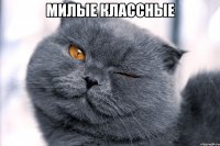 милые классные 