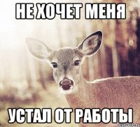 Не хочет меня Устал от работы