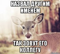 Назвал другим именем Так зовут его коллегу
