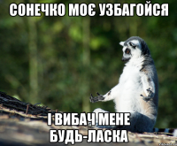 сонечко моє УЗБАГОЙСЯ і вибач мене будь-ласка