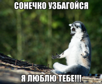 сонечко узбагойся я люблю тебе!!!