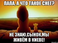 Папа, а что такое снег? Не знаю,сынок,мы живём В Киеве!