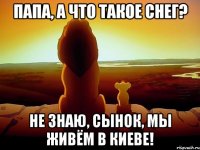 Папа, а что такое снег? Не знаю, сынок, мы живём В Киеве!
