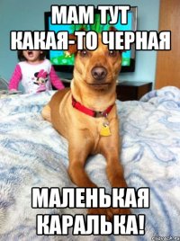мам тут какая-то черная маленькая каралька!