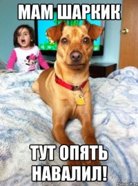 мам шаркик тут опять навалил!