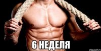  6 неделя