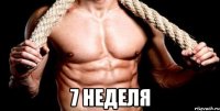  7 неделя
