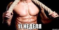  11 неделя
