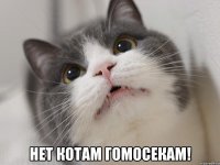  нет котам гомосекам!
