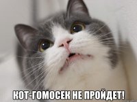  кот-гомосек не пройдет!