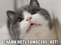  скажи коту-гомосеку - нет!
