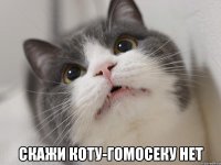  скажи коту-гомосеку нет