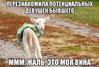 Перезнакомила потенциальных девушек бывшего Ммм, жаль, это моя вина