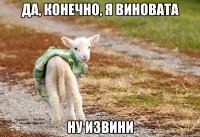 Да, конечно, я виновата Ну извини