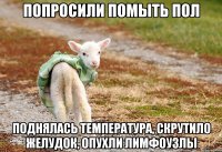 Попросили помыть пол Поднялась температура, скрутило желудок, опухли лимфоузлы