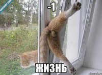 -1 Жизнь
