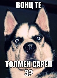 вонц те толмен сарел э?